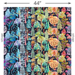 Forest Seasons in Night Sky