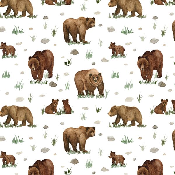 Grizzly Bears in White