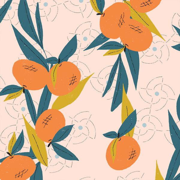 Large Orange Grove in Caribe