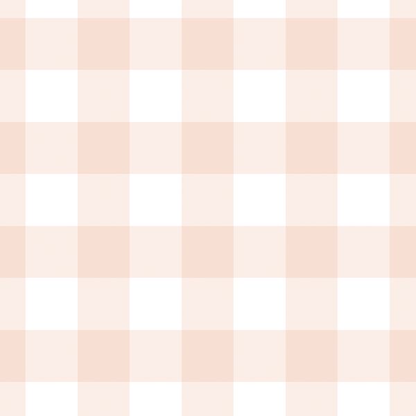 Large Gingham in Pale Peach