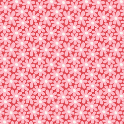 Daisies in Valentine