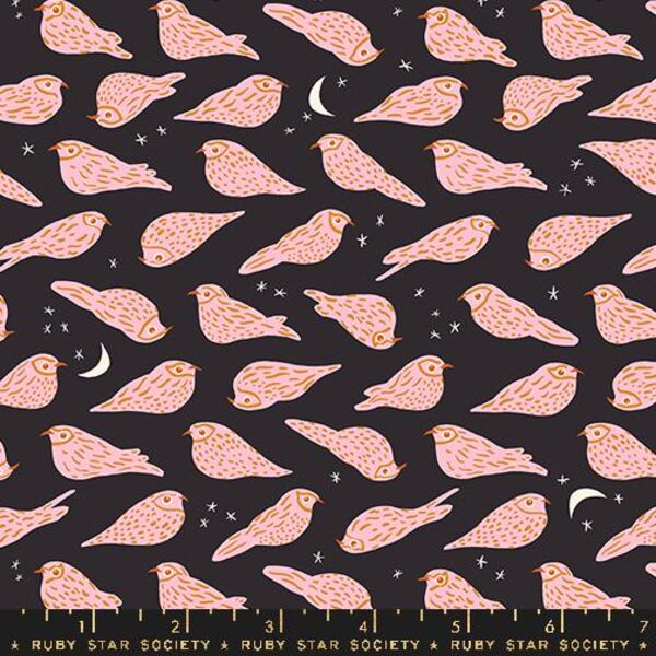 Whippoorwill in Soft Black