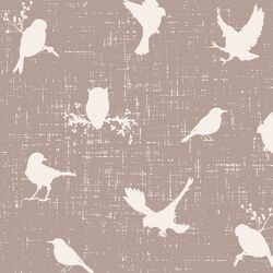 Spread your Wings in Feather