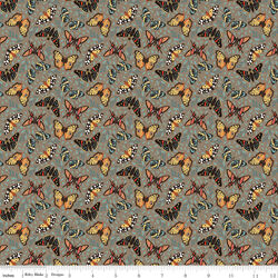 Moths in Chestnut
