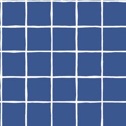 Windowpane in Blue Jay
