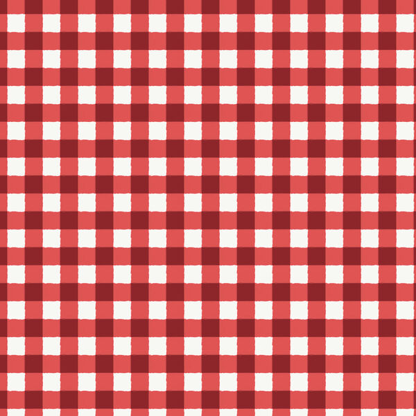 Gingham in Red