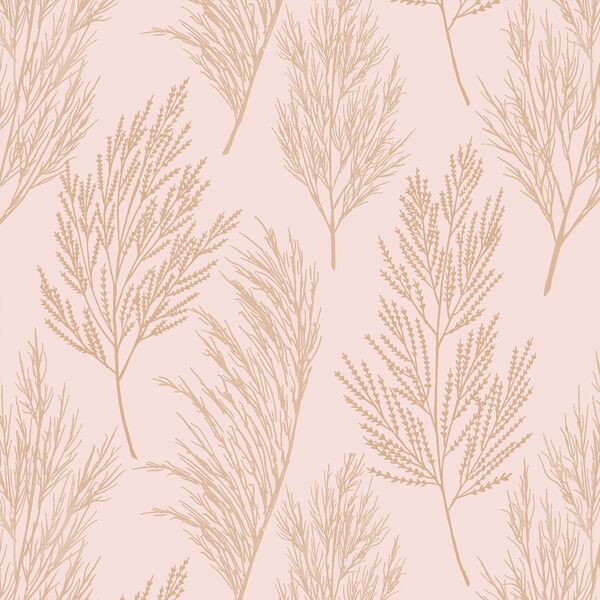 Pampas Grass in Sweet Pink