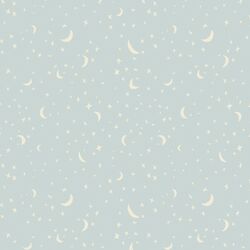 Celestial Stars in Light Blue