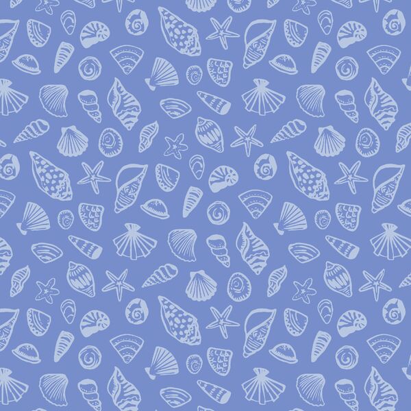 Seashells in Seaside