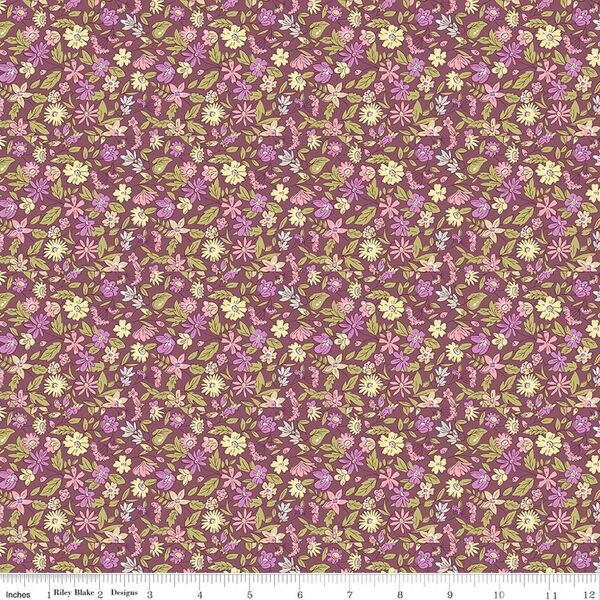 Morning Meadow in A