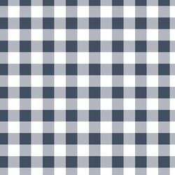 Gingham in Navy