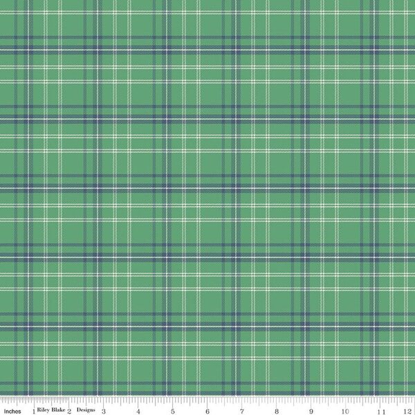 Plaid in Green