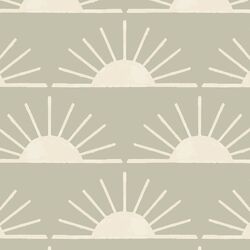 Large Horizon in Summer Sage