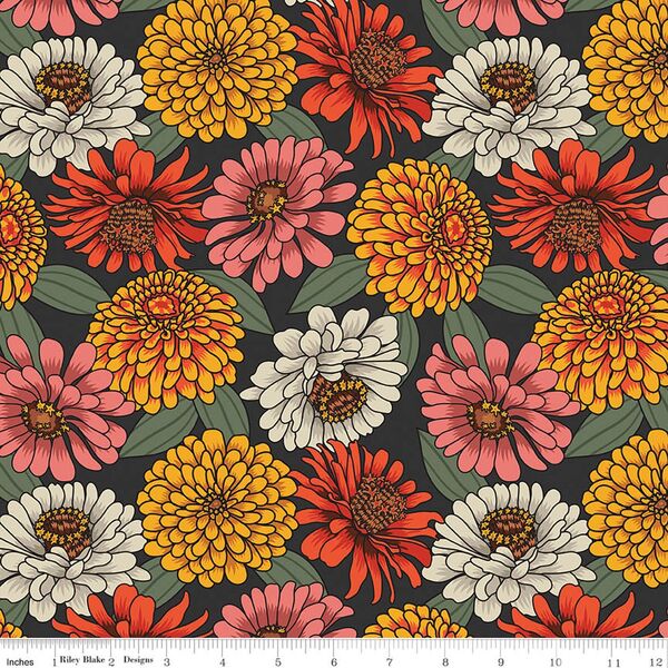 Zinnia in Black
