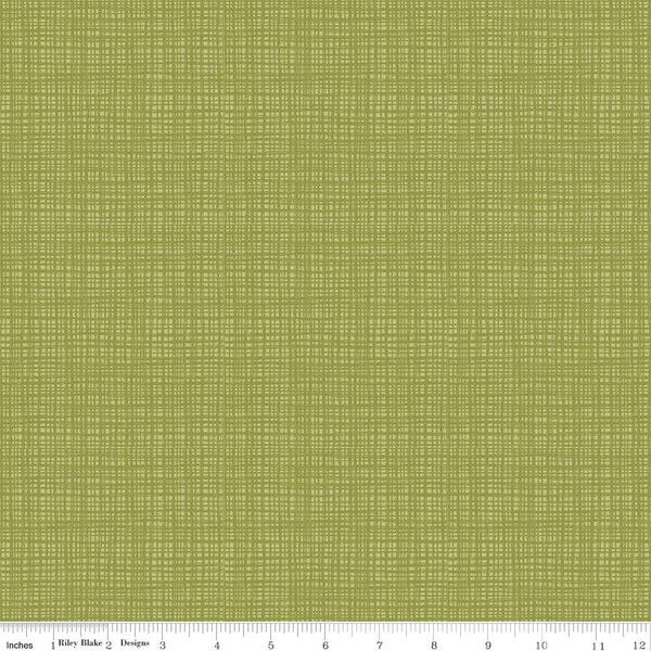 Texture in Asparagus