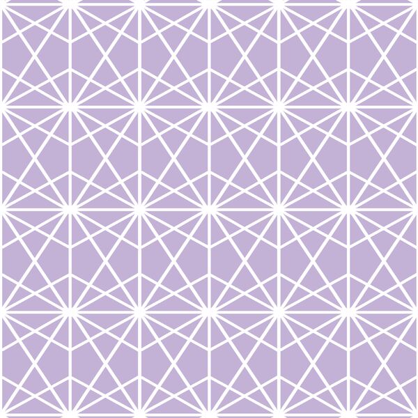 Terrarium in Lilac