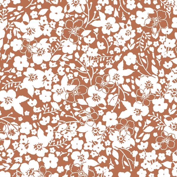 Forget Me Not in Terracotta