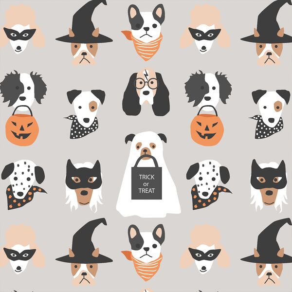 Halloween Pups in Pumice