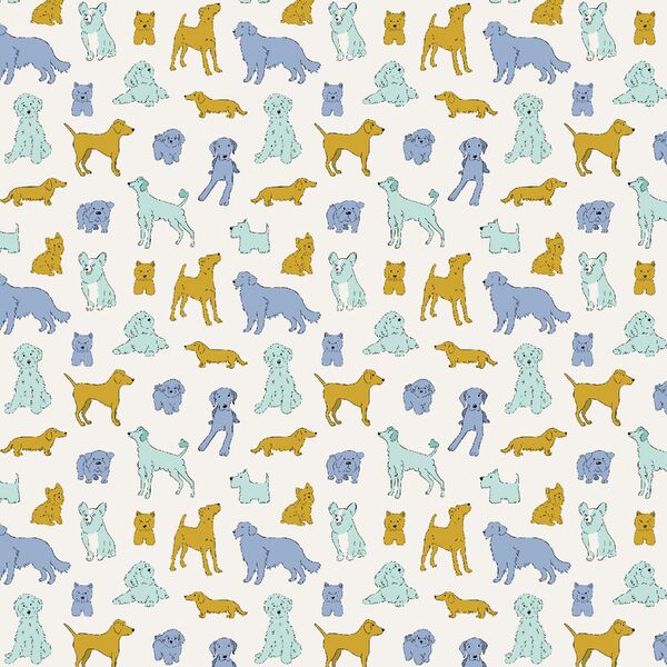 Little Dog Sketches in Sky