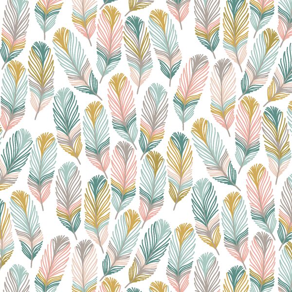 Feathers in Kingdom