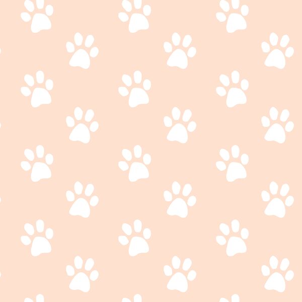 Pawprints in Shell Pink