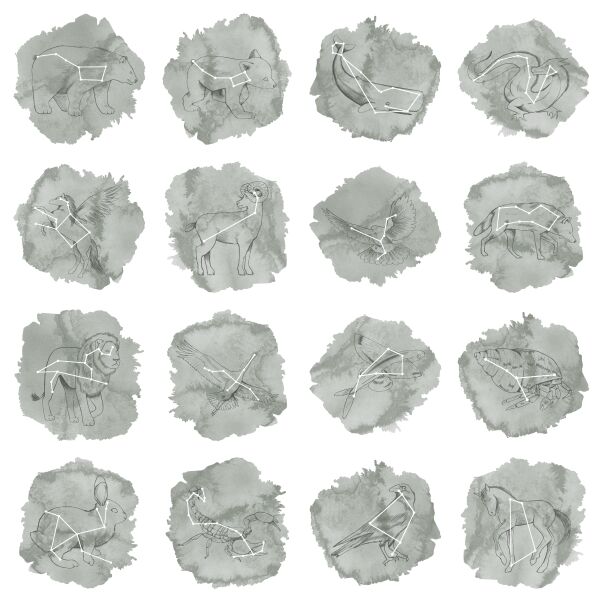 5 Inch Constellations in Sage