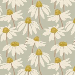 Coneflower in Summer Sage
