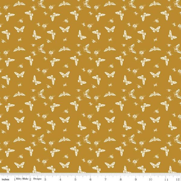 Flutter in Butterscotch