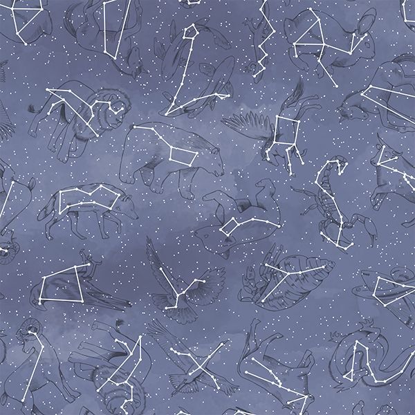 Constellations in Indigo