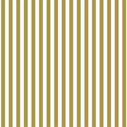 Dress Stripe in Gold