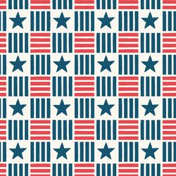 Stars and Stripes Check in Firecracker