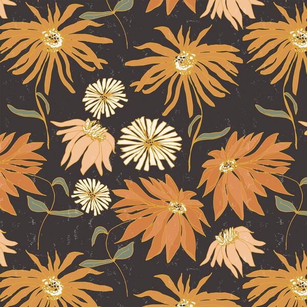 Aster in Faded Black