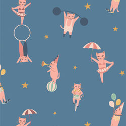 Purrfect Performers in Cool