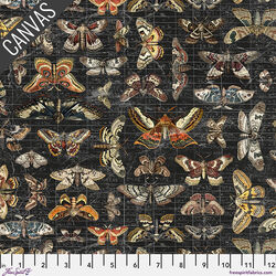 Halloween Moth Study Canvas in Halloween