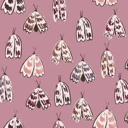 Garden Moths in Purple Hills