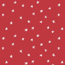 Stars in Poinsettia
