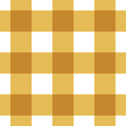 Summer Gingham in Golden Sun