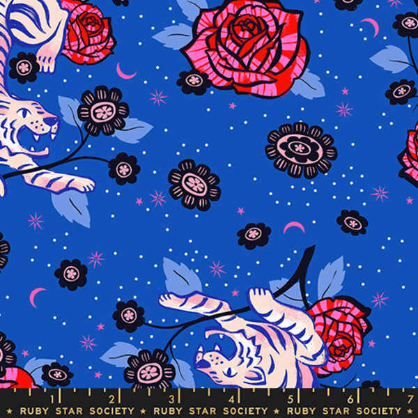 Tiger Rose in Blue Ribbon
