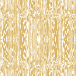 Woodgrain in Sunlight