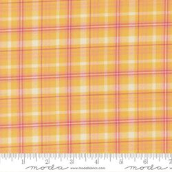 Plaid Checks in Sunshine