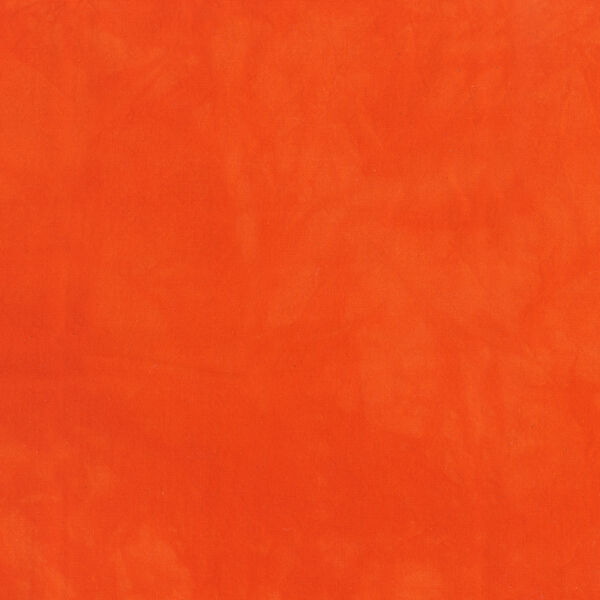 Palette in Tangerine