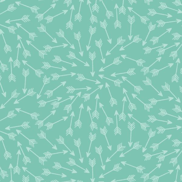 Tonal Arrows in Succulent