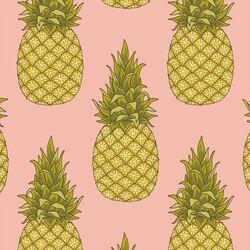 Pineapples in Fresh Pink