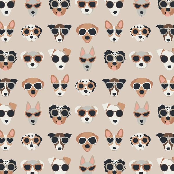 Cool Pups in Neutral