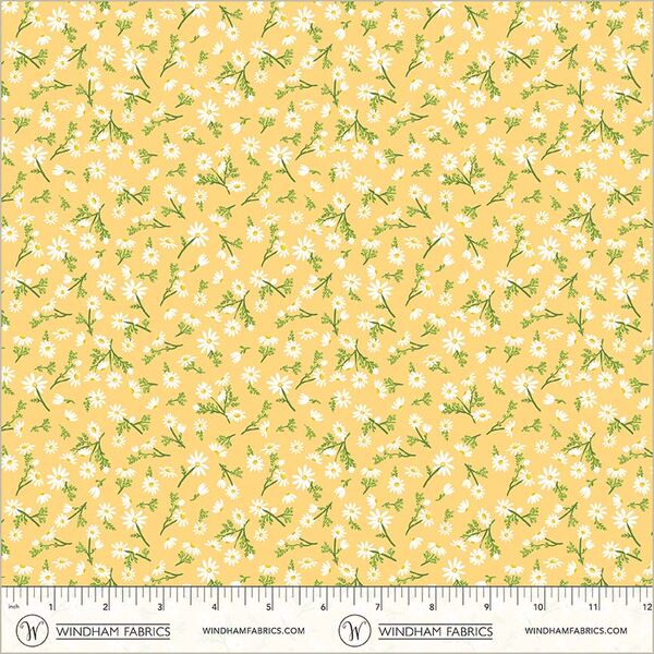 Chamomile in Sunburst