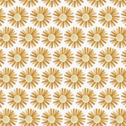 Sunshine in Golden Afternoon