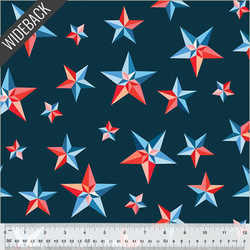 Pinwheel Stars Wideback in Multi