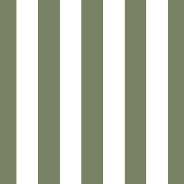 Play Stripe in Olive