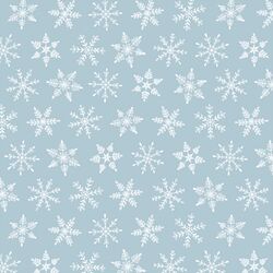 Snowfall in Snow on Frost
