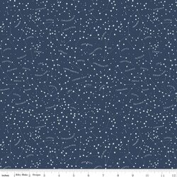 Constellations in Navy